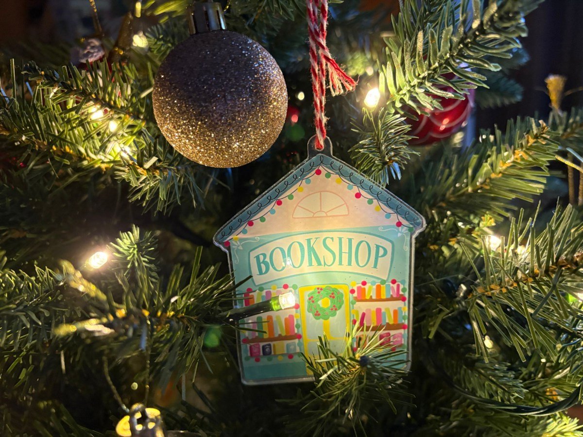 A list of bookish Christmas gift ideas 2024 – bookworm girl